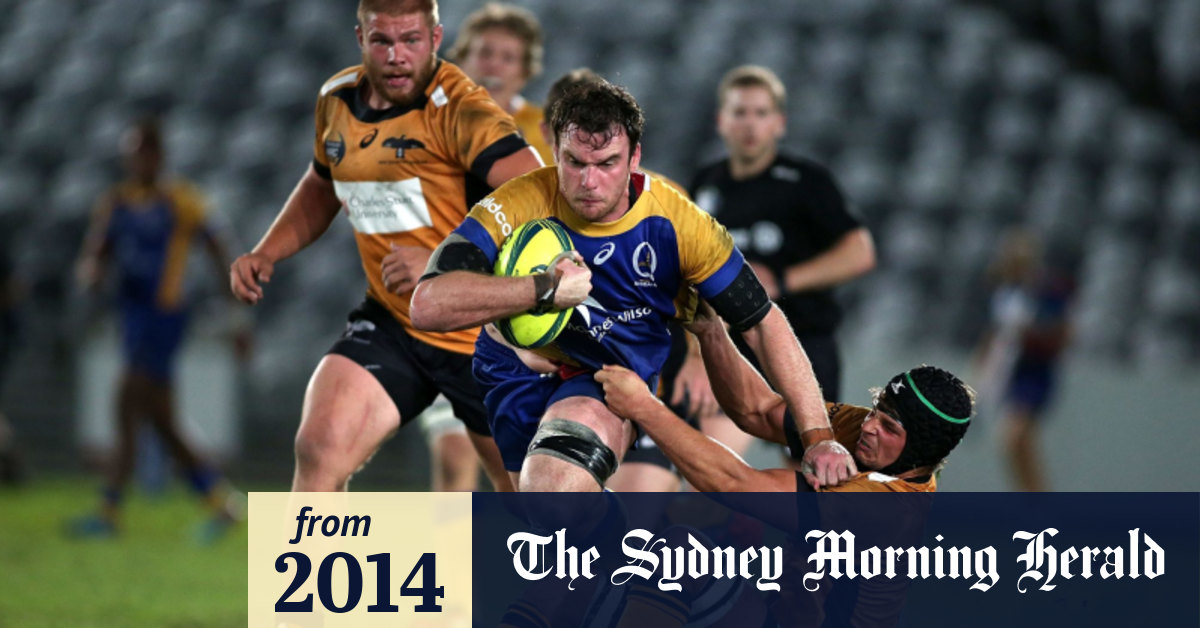 Brisbane City through to National Rugby Championship final after